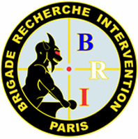 logo_bri