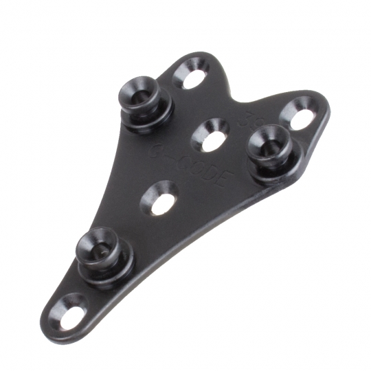 GCO_GCA39_01